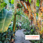 Automne Tropical 2023