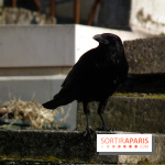 Le Père Lachaise, le cimetière le plus mythique de Paris et ses tombes de personnalités célèbres