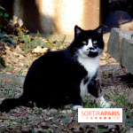 Le Père Lachaise, le cimetière le plus mythique de Paris et ses tombes de personnalités célèbres