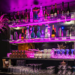 Un nouvel an dans une club privée près des Champs Elysées