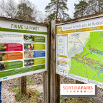 Le sentier de l'érosion à Fontainebleau - balade en forêt - IMG 6595
