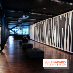 Tania Mouraud, nos photos de son expo à Fluctuart - IMG 2700