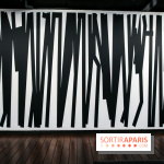 Tania Mouraud, nos photos de son expo à Fluctuart - IMG 2704