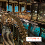 Grande Galerie de l'évolution- visuels 2024 - image00076