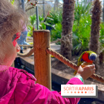Visuels enfants, attractions, parc, Jardin d'Acclimatation, animaux, zoo