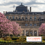 Les magnolias du Jardin du Palais Royal