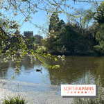 Lac de Saint-Mandé - nos photos - WhatsApp Image 2024 03 22 à 16.15.39 86c32a56