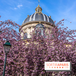 Square Gabriel Pierné à Paris - cerisiers en fleurs