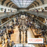 La Galerie de Paléontologie et d'Anatomie comparée du Muséum au Jardin des Plantes -  A7C7446