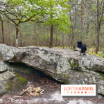 Dolmen de la Pierre Ardoue