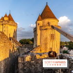 Le Château de Blandy-les-Tours en Seine-et-Marne (77), nos photos -  A7C7975