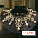 Divins Joyaux, à la recherche de la beauté - IMG 4542