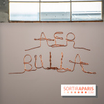 Exposition Praesentia de Myriam Mihindou au Palais de Tokyo - DSC 1631