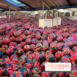 Fondation Cherqui - nos photos - image00003