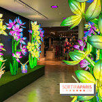 Les vitrines de Noël 2024 de la Samaritaine : Thoiry Lumières Sauvages envahit le grand magasin - Les vitrines de Noël 2024 de la Samaritaine : Thoiry Lumières Sauvages envahit le grand magasin   image00030   1125751