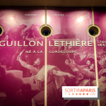 Guillon Lethière, né à la Guadeloupe : l'exposition rétrospective du musée du Louvre se dévoile - IMG20241112145554