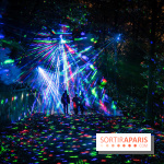 Lumières en Seine 2024, le parcours de lumières féérique et animé  -  A7C6847