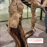 Exposition Belladone de Tatiana Wolska au Drawing Lab - IMG 2347