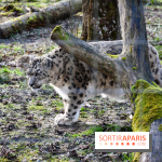 Lumigny Safari Reserve - nos photos - image00039