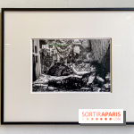 Exposition Irina Ionesco aux galeries Rachel Hardouin et La Lison - IMG 3691