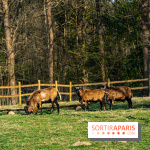 La Ferme de l’Abbaye des Vaux de Cernay : l'hôtel de charme en pleine nature dans les Yvelines - photos