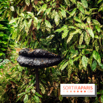 Grandeur Nature II, le festival d'art contemporain gratuit au parc du Château de Fontainebleau - A7C02755