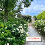 Square Eugénie Djendi - nos photos - 27729B0F A44E 4F1C B37B 417BAD0CEA02