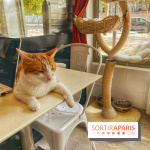 Chat-Rivari Café