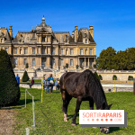 Tous en piste ! à Maisons-Laffitte (78): poneys, calèche et spectacles équestres gratuits au château - IMG 8275 jpg