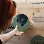 La Tournée du Climat et de la Biodiversité 2025 - 3. ©Marianne Pubill Tournee Climat et biodiversite Bagneux WEB 7