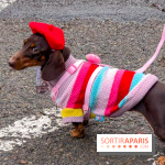 Paris Sausage Walk, la Marche des Teckels 2025