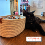 Le Chatelier  - IMG 2470