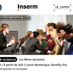 Ciné-science sur le film Les Rêves dansants : quand la danse rencontre les neurosciences