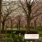 Les cerisiers du parc Martin Luther King - Clichy - Batignoles