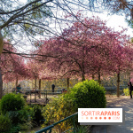 Les pommiers et cerisiers en fleurs du Jardin de Reuilly, Parc de Reuilly à Paris 12e - photos