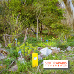 Le jardin botanique de Launay et arboretum de l'Université Paris Saclay à Orsay - les photos - A7C09556