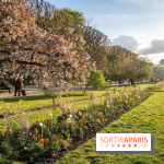 Les floraisons exceptionnelles du Jardin des Plantes 2026 : tulipes, coquelicots et cerisiers - photos