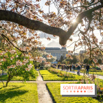 Les floraisons exceptionnelles du Jardin des Plantes 2026 : tulipes, coquelicots et cerisiers - photos - A7C00582