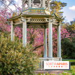 Le Parc de Bagatelle au printemps, cerisier, tulipes et jonquilles - photos