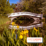 Le Parc des Ibis au Vésinet dans les Yvelines en Région Parisienne - photos  - A7200413