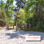 Liaisons douces à Fontainebleau : la forêt à vélo, les photos