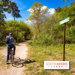 Liaisons douces à Fontainebleau : la forêt à vélo, les photos