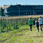 2ème édition du Viti-trail de 10 km du Domaine de Paris Gravelle Dimanche 6 septembre 2026
