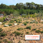 Les Loudges, les hébergements devant les loups arctiques au Zoo de Thoiry