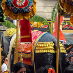 Fête de Ganesh 2026 - FullSizeRender 2