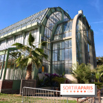 Automne tropical 2026