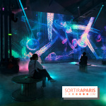 Plongez à la découverte de Planète Océan, l’exposition immersive de l’Atelier des Lumières
