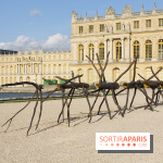 Penone au Château de Versailles, Spazio di luce | Espace de lumière