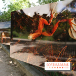 Exposition Planète Grenouille par Cyril Ruoso au Jardin des Plantes