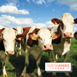 Les labyrinthes de la Ferme de Gally